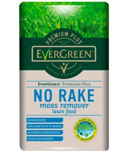 No Rake Moss Remover